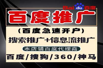 成功企业如何借助百度推广代运营公司实现逆袭